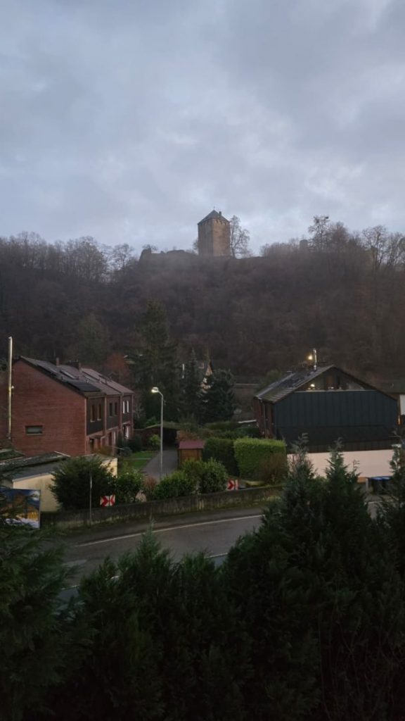 Blick auf die Burg Sayn