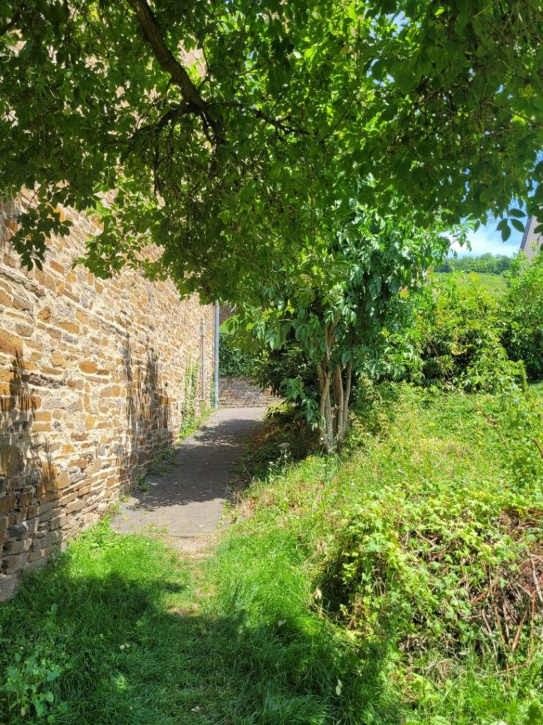 Garten